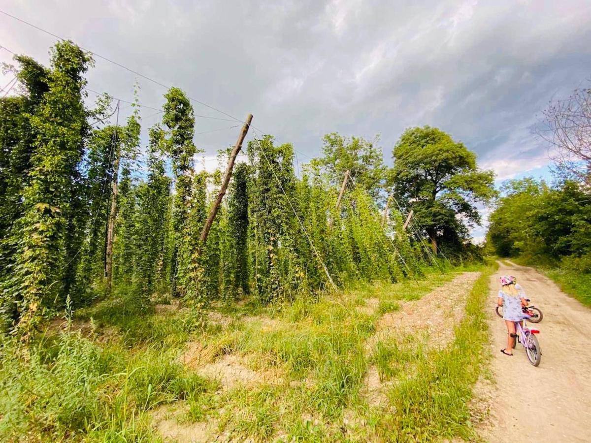 Greenvalleyglamping Sesce Pri Preboldu Luaran gambar