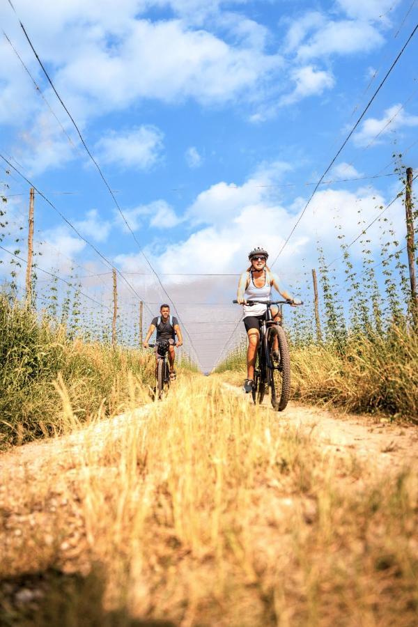 Greenvalleyglamping Sesce Pri Preboldu Luaran gambar