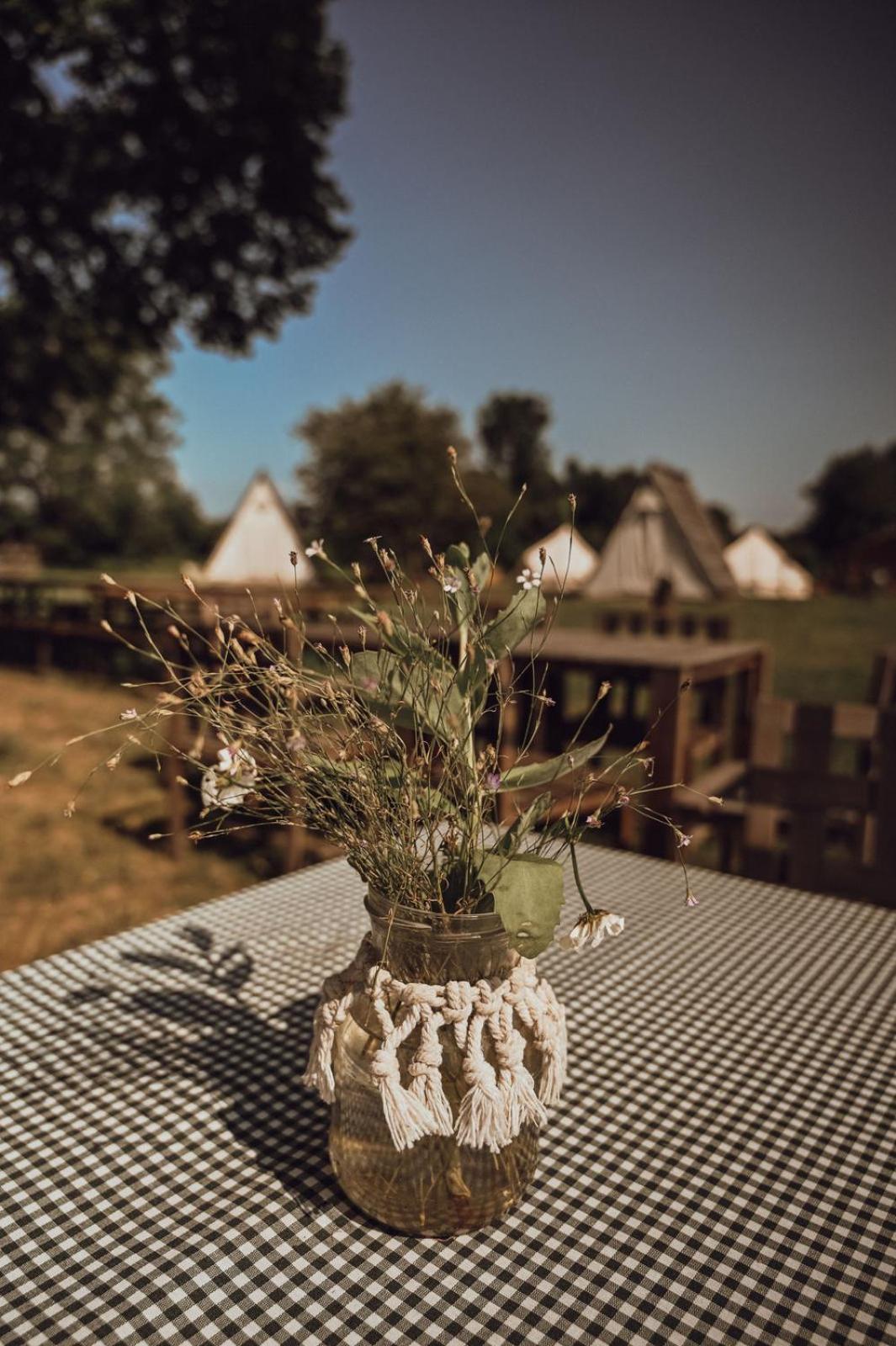 Greenvalleyglamping Sesce Pri Preboldu Luaran gambar